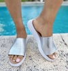 Sandalia paula plateado