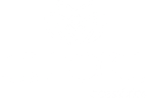 Aurora Acessorios