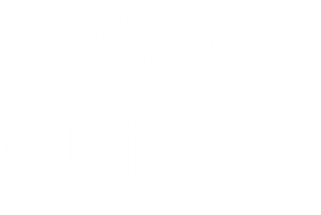 Aurora Acessorios