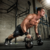 WORKOUT Y FITNESS