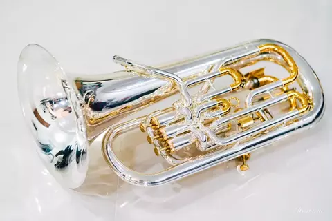 EUPHONIUM PROFESSIONAL SHELLY SERIES COMPENSATED