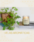 Carrusel Loja de Velas Aromáticas e Difusores de Ambientes - AMBOS