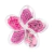 Flor de Lotus Pink Set Love- Molin
