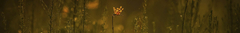 Banner da categoria TOQUE DE ENCANTO