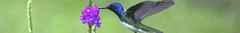 Banner da categoria TODOS OS PRODUTOS
