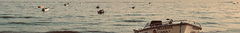 Banner da categoria Bonés