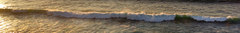 Banner da categoria Top