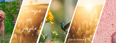 Banner de la categoría Aire Libre