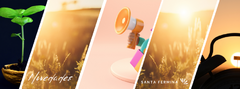 Banner de la categoría Novedades