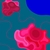 Imagem do ROSAS E ESPINHOS, da série UM PASSADO DE PRESENÇAS