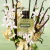 PERFUME VALENTINO BORN IN ROMA GREEN STRAVAGANZA FEMININO EAU DE PARFUM - comprar online