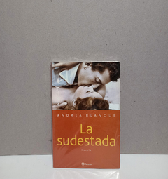 la sudestada - Andrea Blanqué