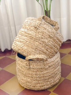 Canasto Molusca mediano - comprar online