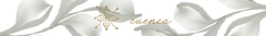 Banner de la categoría Cuenca