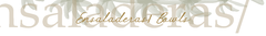 Banner de la categoría Ensaladeras/ Bowls