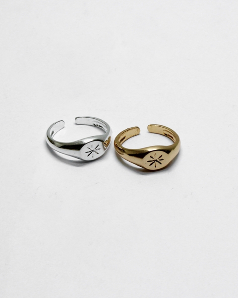 Anel Regulável Shine