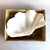 JABONERA SHELL