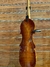 BAIXO UPRIGHT EMINENCE RN-5 - Bass Center e Instrumentos Musicais LTDA