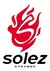 Encordoamento Para Violão Aço Solez 010 Phosphor Bronze SLAPB10 C/ Mi Extra na internet