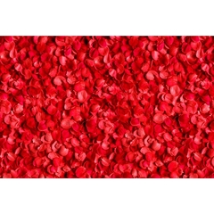 Pétalas rosa - comprar online