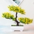Imagem do Plantas artificiais bonsai TESTE 123456