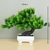 Plantas artificiais bonsai TESTE 123456 na internet