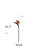 Large Bird of Paradise na internet