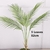 Imagem do Large Bird of Paradise