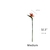 Imagem do Large Bird of Paradise