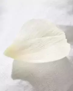 INDULGING FLUID OIL 100ml - Tania García