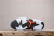 Jordan - 6 Retro Reflections of a Champion - comprar online