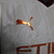 Manchester City - Away 2023/2024 Jogador - E.S.imports