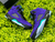 Jordan - 5 Retro Alternate Grape - E.S.imports