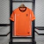 Holanda - Home 2010