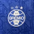 Grêmio - Treino 2024/2025 na internet