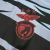 Benfica - 2022 na internet