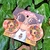 Aretes Petunia en internet