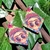 Aretes Frida Kahlo en internet