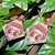 Aretes Frida Kahlo - comprar en línea