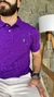 Polo Ralph Lauren Roxo Small Pony Verde na internet