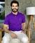 Polo Ralph Lauren Roxo Small Pony Verde