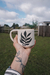 Taza Plant