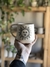 Taza Geminis