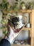 Taza Remus