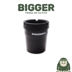 CENICERO SQUADAFUM