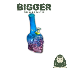 BONG CALAVERA DK6454