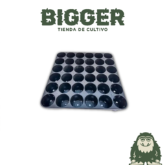 FORESTAL BANDEJA 6X6 CELDAS