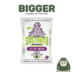 Indoor 25dm - comprar online