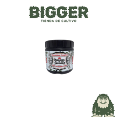 Micorrizas Pangea 200 gr