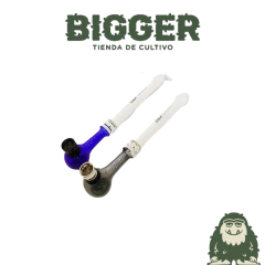 PIPA BICOLOR D&K